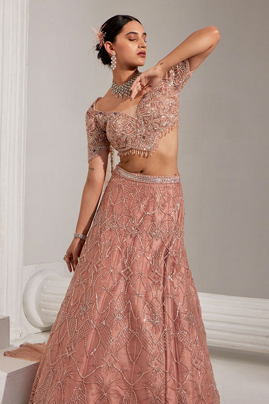 Blush Radiance - Embellished Lehenga Set