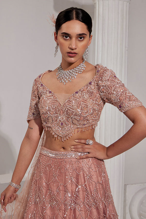 Blush Radiance - Embellished Lehenga Set