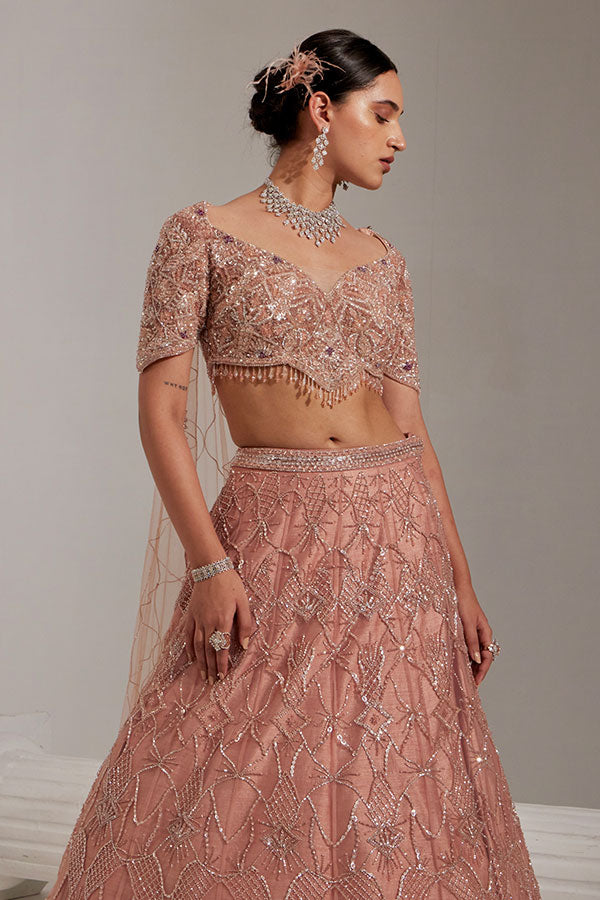 Blush Radiance - Embellished Lehenga Set