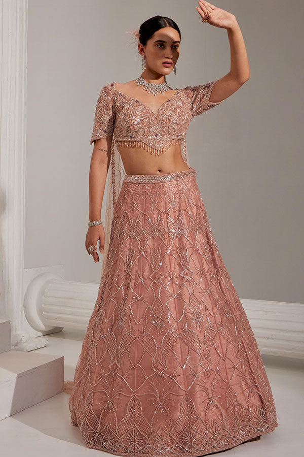 Blush Radiance - Embellished Lehenga Set